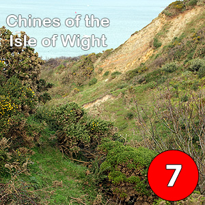 Isle of Wight Coastal Trail - Chines